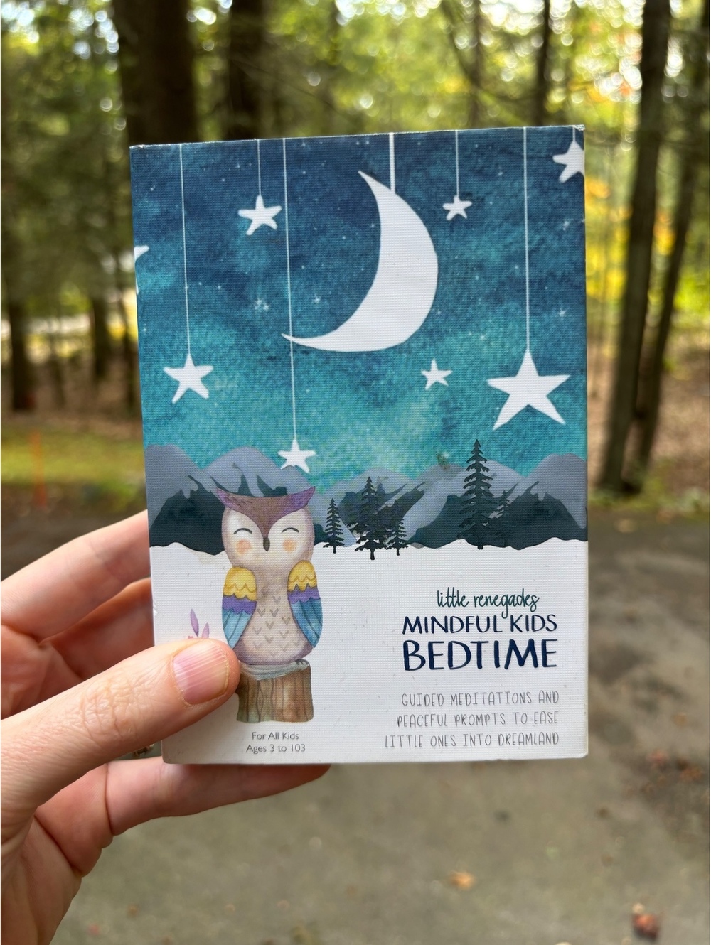 Little Renegades Mindful Kids Bedtime Guided Meditation Cards